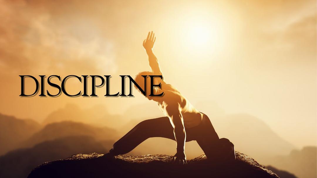Discipline